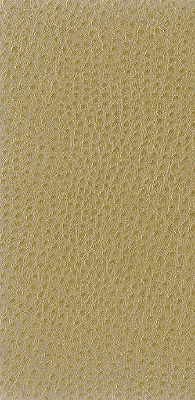 Nuostrich-16 by Kravet Basics Fabric - NYLON - 100% Japan HEAVY Horizontal: 0 and Vertical: 0 54 - Fabric Carolina -