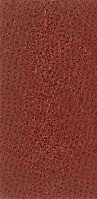 Kravet Basics Nuostrich-24 by Kravet Basics Fabric Kravet Basics Fabric Kravet Basics Nuostrich-24Fabric NYLON - 100% Japan </p><p>Repeat: H: 0, V: 0 54 - Fabric Carolina -