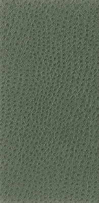 Nuostrich-3 by Kravet Basics Fabric - NYLON - 100% Japan HEAVY Horizontal: 0 and Vertical: 0 54 - Fabric Carolina -