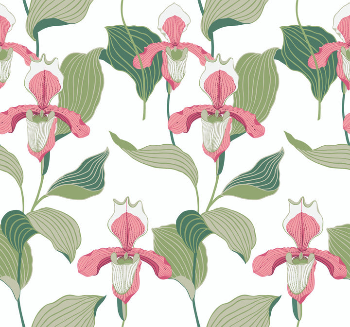 Coral & Green Lady Slipper Wallpaper by York Wallcoverings Modern Heritage 125th Anniversary Covers about 60.8 square feet 27-in by 27-ft long roll Unpasted 25.25 - Fabric Carolina -