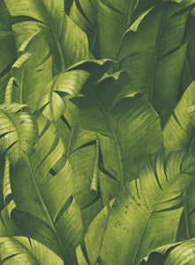 Tropical Banana Leaves Green by Seabrook Wallpaper