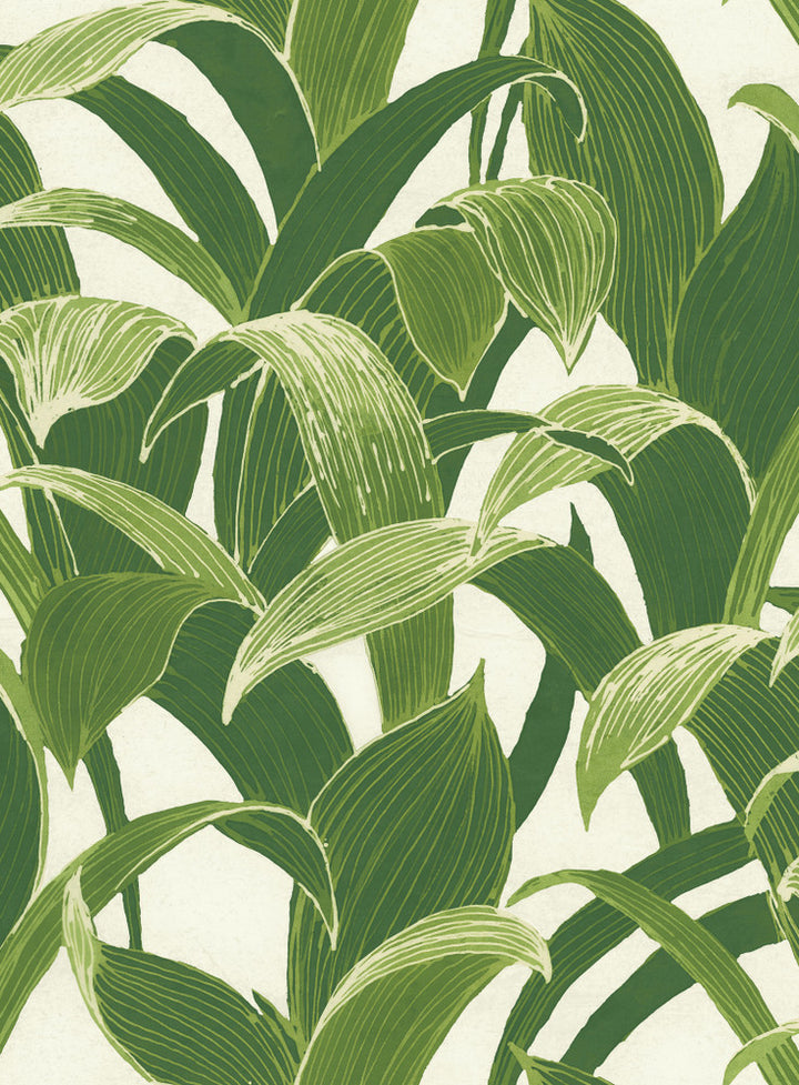 Banana Groves Green & White by Seabrook Wallpaper NextWall Peel & Stick United States 30.75 27.8" 20.5" - Fabric Carolina -