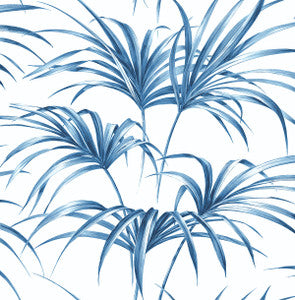 Tropical Palm Leaf Coastal Blue by Seabrook Wallpaper