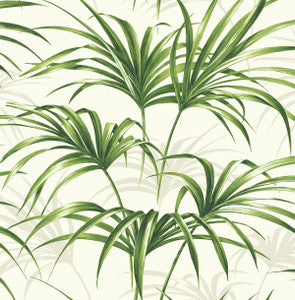 Tropical Palm Leaf Green and Off-White by Seabrook Wallpaper