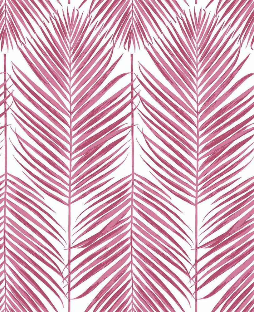 Paradise Palm Cerise Pink by Seabrook Wallpaper NextWall Peel & Stick United States 30.75 25.2" 20.5" - Fabric Carolina -