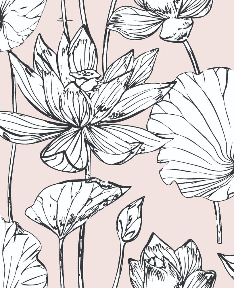 Lotus Floral Blush & Ebony by Seabrook Wallpaper NextWall Peel & Stick United States 30.75 25.2" 20.5" - Fabric Carolina -
