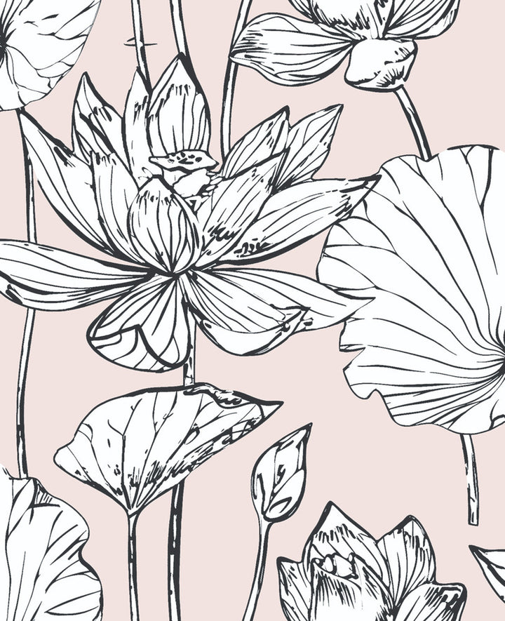 Lotus Floral Blush & Ebony by Seabrook Wallpaper NextWall Peel & Stick United States 30.75 25.2" 20.5" - Fabric Carolina -