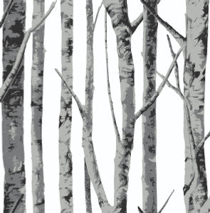 Birch Trees Monochrome by Seabrook Wallpaper