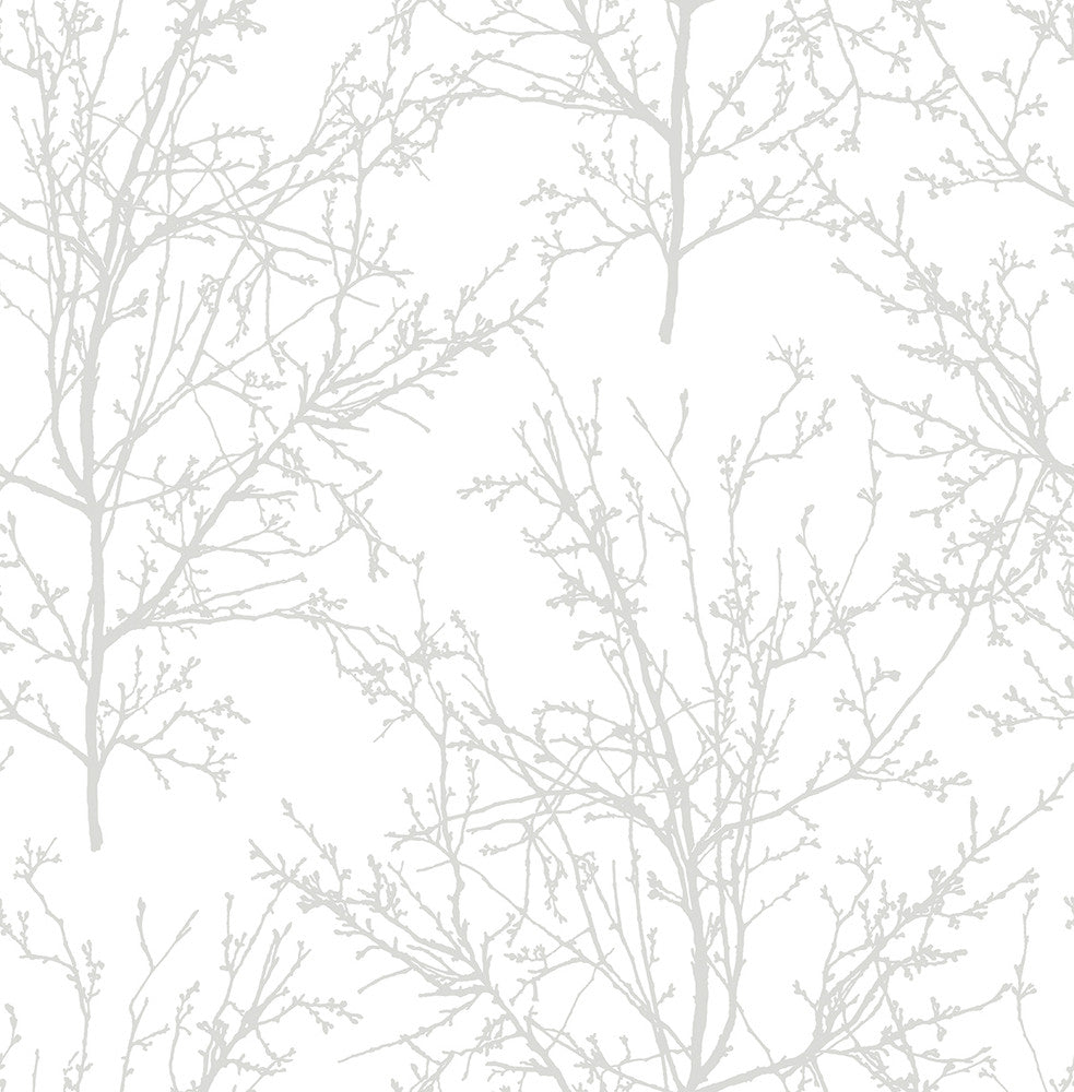 Tree Branches Pearl Gray by Seabrook Wallpaper NextWall Peel & Stick United States 30.75 20.87" 20.5" - Fabric Carolina -