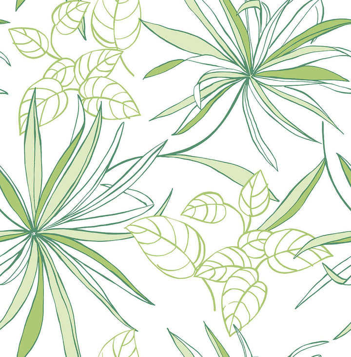 Spider Plants Green by Seabrook Wallpaper NextWall Peel & Stick United States 30.75 20.87" 20.5" - Fabric Carolina -