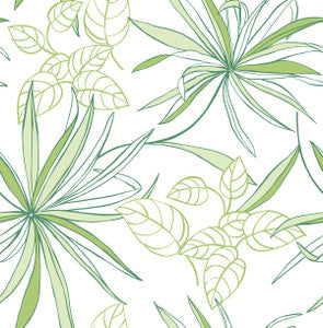 Spider Plants Green by Seabrook Wallpaper