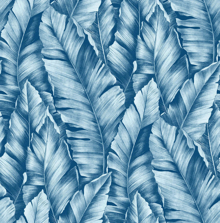 Baha Banana Leaves Regatta Blue by Seabrook Wallpaper NextWall Peel & Stick United States 30.75 20.87" 20.5" - Fabric Carolina -