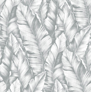 Baha Banana Leaves Daydream Gray by Seabrook Wallpaper