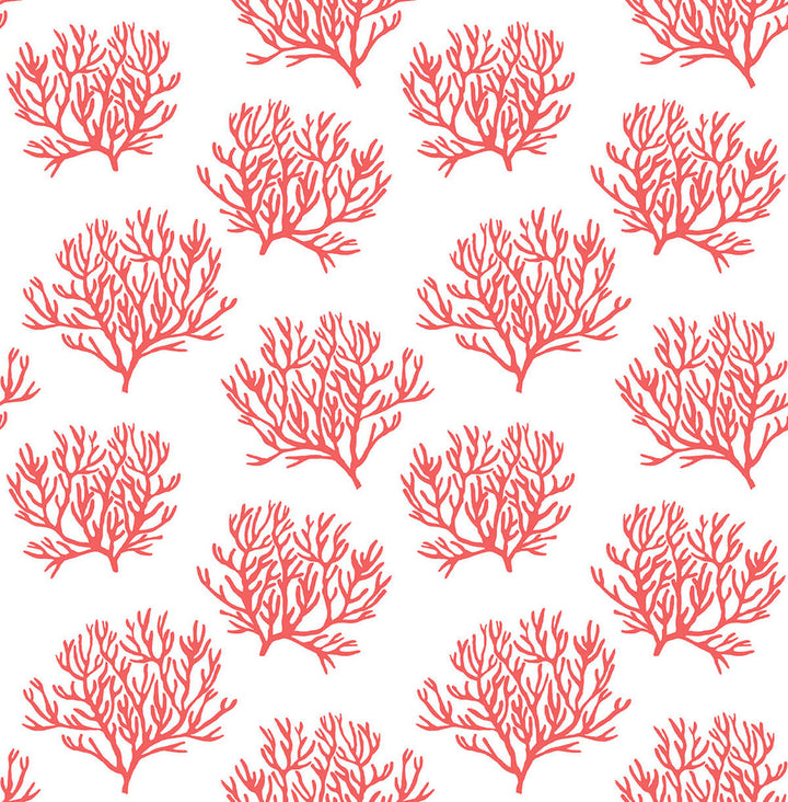Coastal Coral Reef Vermillion by Seabrook Wallpaper NextWall Peel & Stick United States 30.75 10.43" 20.5" - Fabric Carolina -
