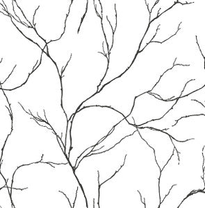 Delicate Branches Ebony by Seabrook Wallpaper