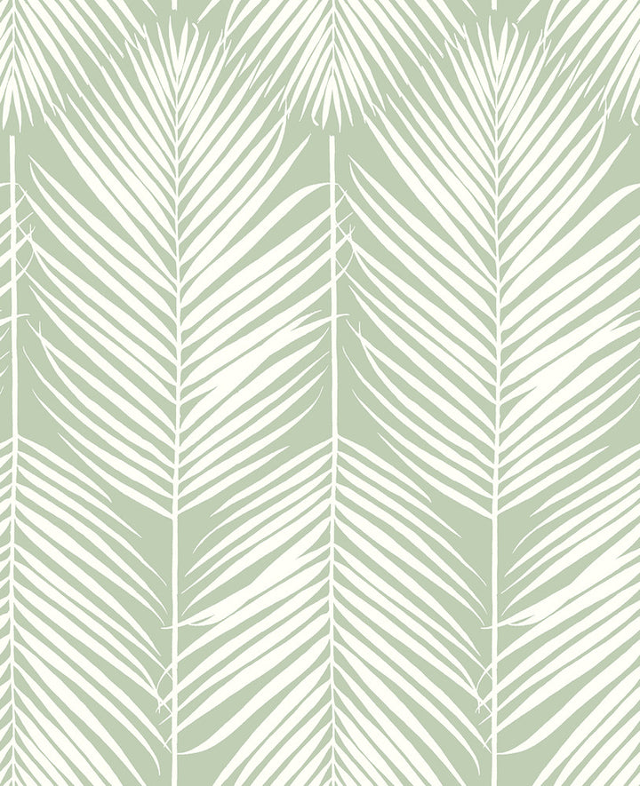 Palm Silhouette Pastel Green by Seabrook Wallpaper NextWall Peel & Stick United States 30.75 25.2" 20.5" - Fabric Carolina -