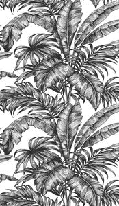 Palm Jungle Ebony & Pearl by Seabrook Wallpaper