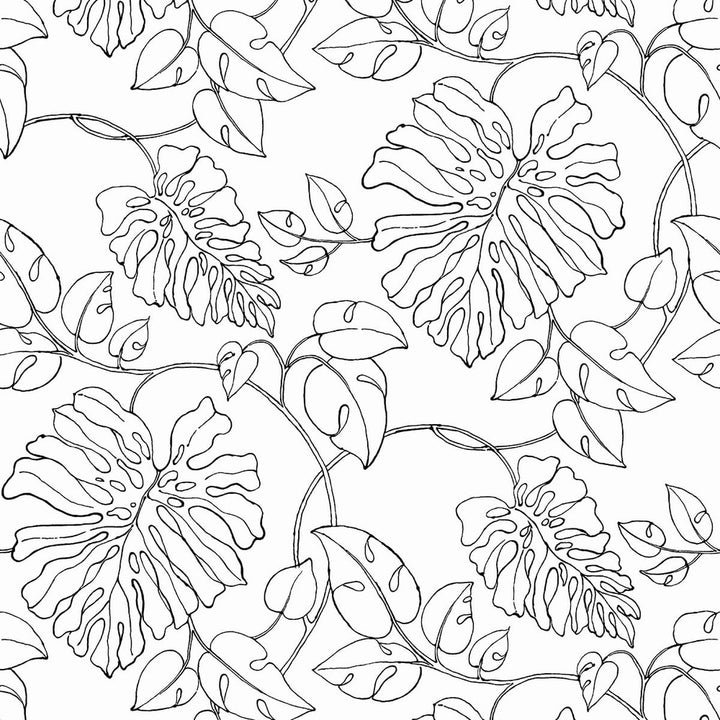 Tropical Linework Black & White by Seabrook Wallpaper NextWall Peel & Stick United States 30.75 18" 20.9" - Fabric Carolina -