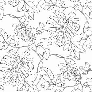 Tropical Linework Black & White by Seabrook Wallpaper