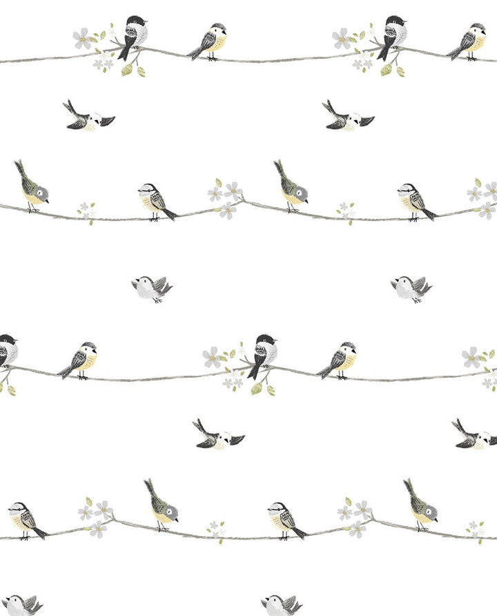 Sweet Tweet Charcoal & Buttercup by Seabrook Wallpaper NextWall Peel & Stick United States 30.75 25.2" 20.5" - Fabric Carolina -