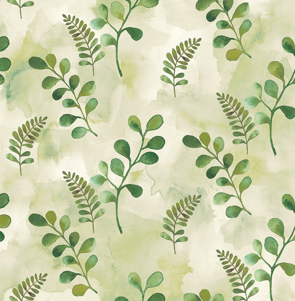 Woodland Walk Summer Fern by Seabrook Wallpaper NextWall Peel & Stick United States 30.75 20.87" 20.5" - Fabric Carolina -