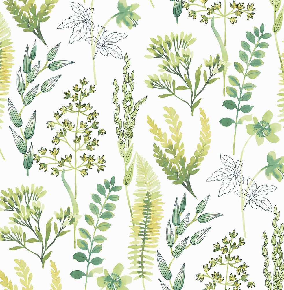 Wild Garden Lemon Lime by Seabrook Wallpaper NextWall Peel & Stick United States 30.75 20.87" 20.5" - Fabric Carolina -