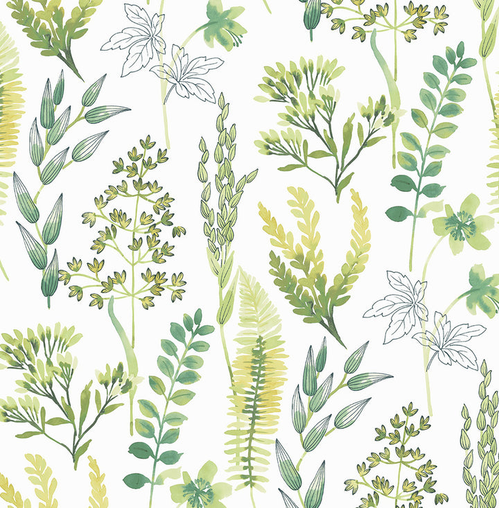 Wild Garden Lemon Lime by Seabrook Wallpaper NextWall Peel & Stick United States 30.75 20.87" 20.5" - Fabric Carolina -