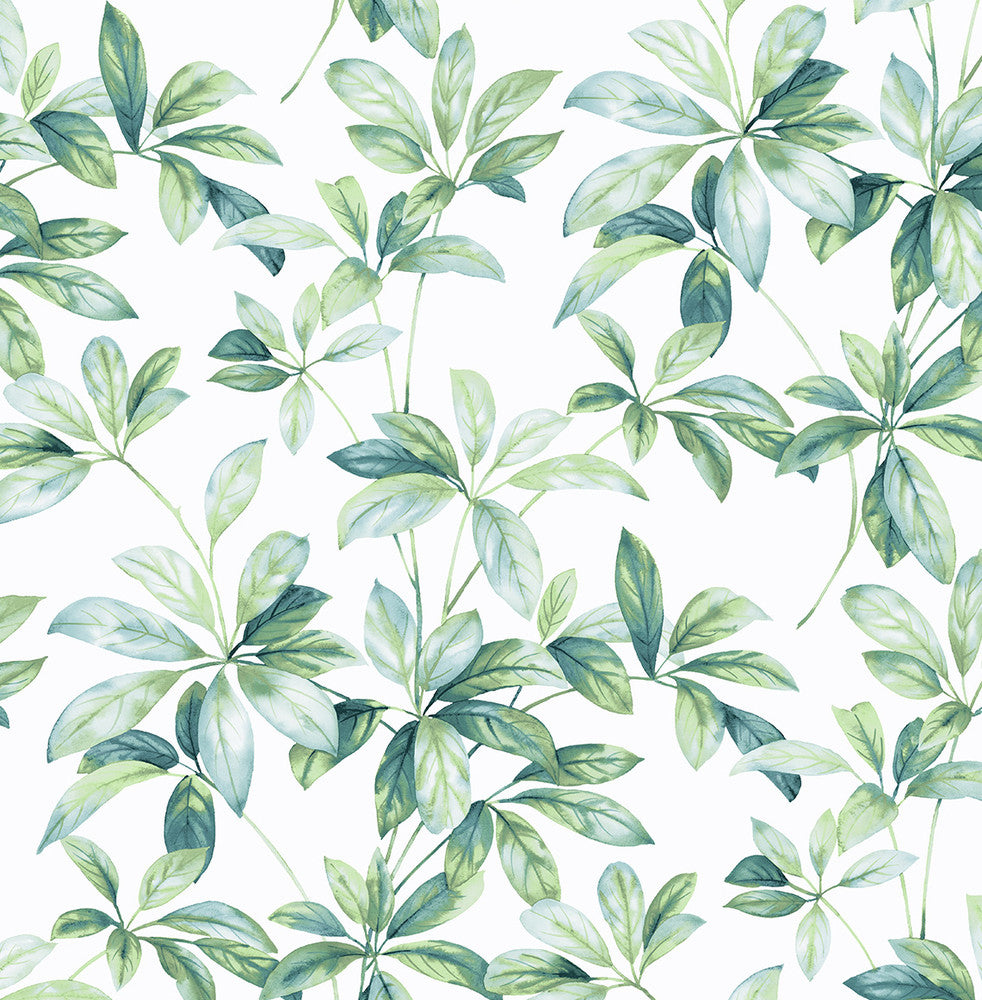 Leaf Trail Seaglass by Seabrook Wallpaper NextWall Peel & Stick United States 30.75 20.87" 20.5" - Fabric Carolina -