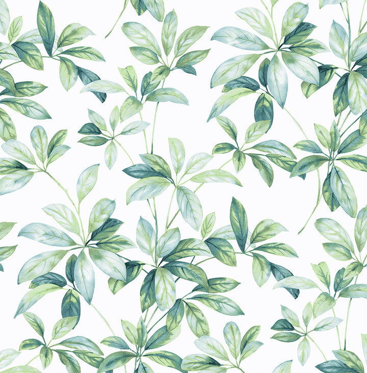 Leaf Trail Seaglass by Seabrook Wallpaper NextWall Peel & Stick United States 30.75 20.87" 20.5" - Fabric Carolina -