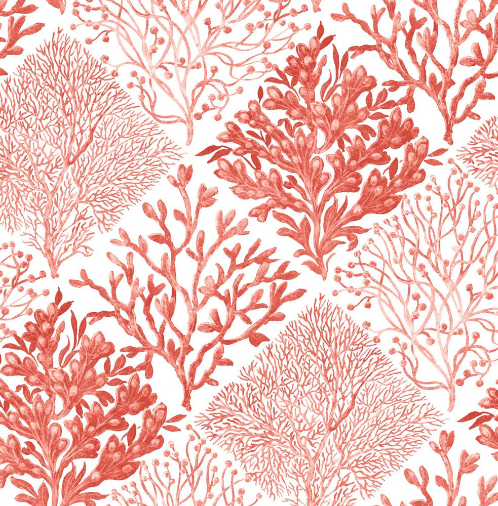 Seaweed Vermillion by Seabrook Wallpaper NextWall Peel & Stick United States 30.75 20.87" 20.5" - Fabric Carolina -