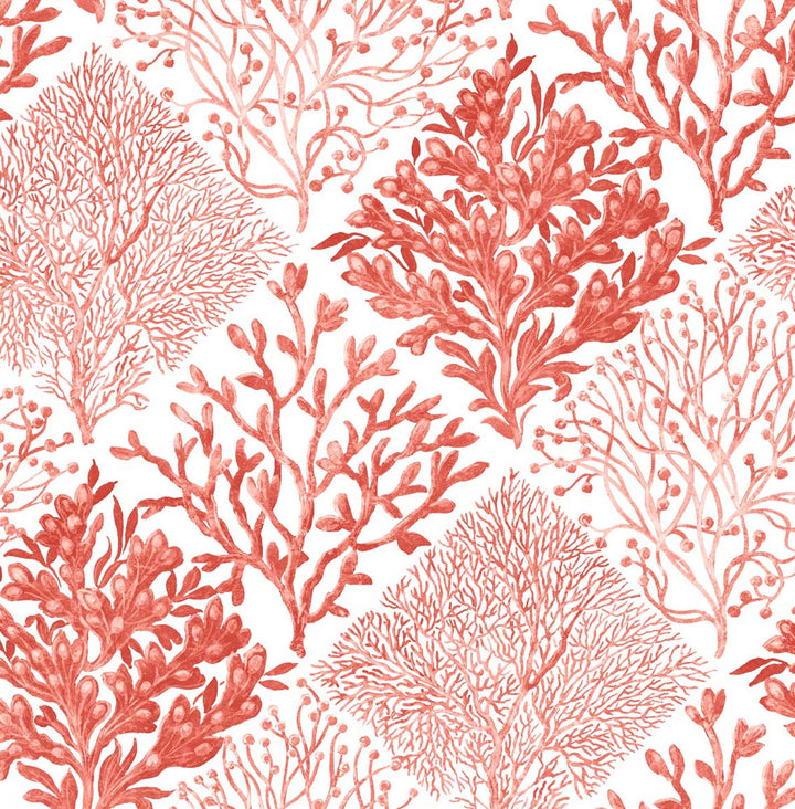 Seaweed Vermillion by Seabrook Wallpaper NextWall Peel & Stick United States 30.75 20.87" 20.5" - Fabric Carolina -