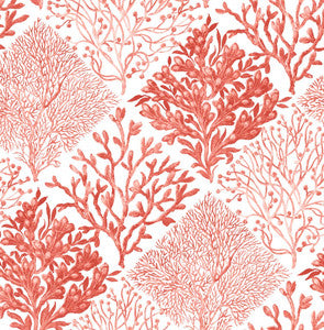 Seaweed Vermillion by Seabrook Wallpaper