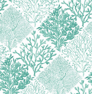Seaweed Seaglass by Seabrook Wallpaper