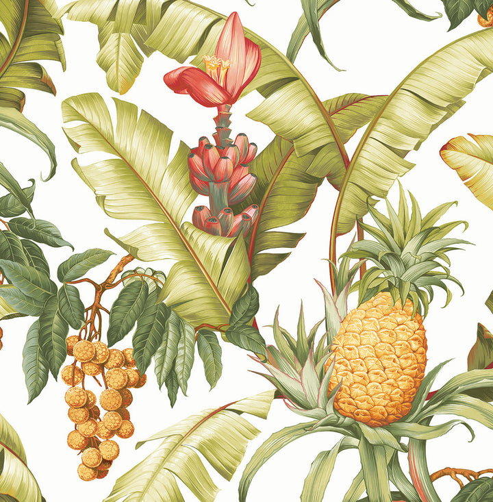 Pineapple Floral Off-White by Seabrook Wallpaper NextWall Peel & Stick United States 30.75 20.87" 20.5" - Fabric Carolina -