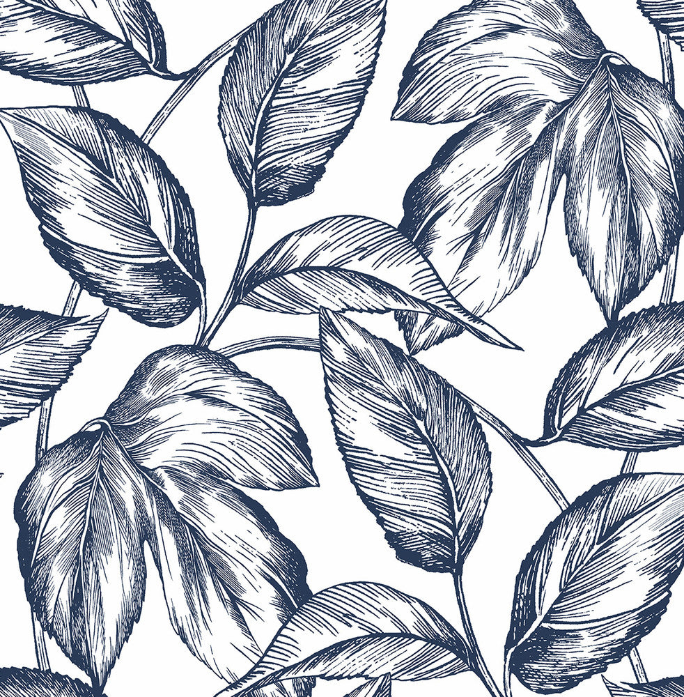 Sketched Leaves Navy Blue by Seabrook Wallpaper NextWall Peel & Stick United States 30.75 20.87" 20.5" - Fabric Carolina -