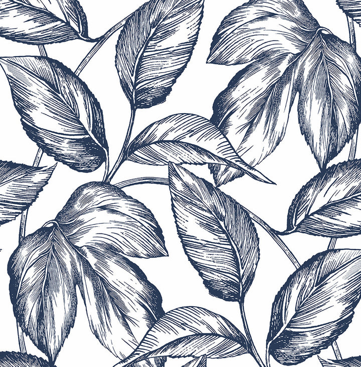 Sketched Leaves Navy Blue by Seabrook Wallpaper NextWall Peel & Stick United States 30.75 20.87" 20.5" - Fabric Carolina -