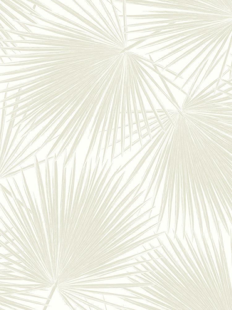 Aruba Palm Sea Salt by Seabrook Wallpaper NextWall Peel & Stick United States 40.5 36" 27" - Fabric Carolina -