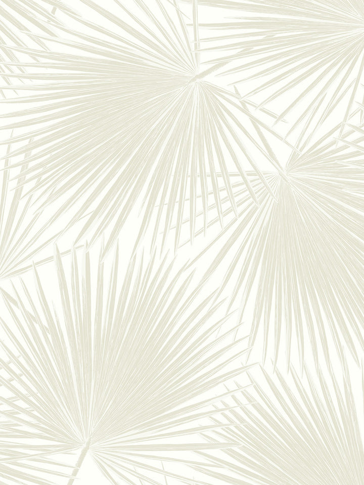 Aruba Palm Sea Salt by Seabrook Wallpaper NextWall Peel & Stick United States 40.5 36" 27" - Fabric Carolina -