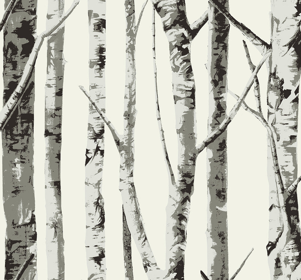 Winter Birch Greystone by Seabrook Wallpaper NextWall Peel & Stick United States 40.5 25.2" 27" - Fabric Carolina -