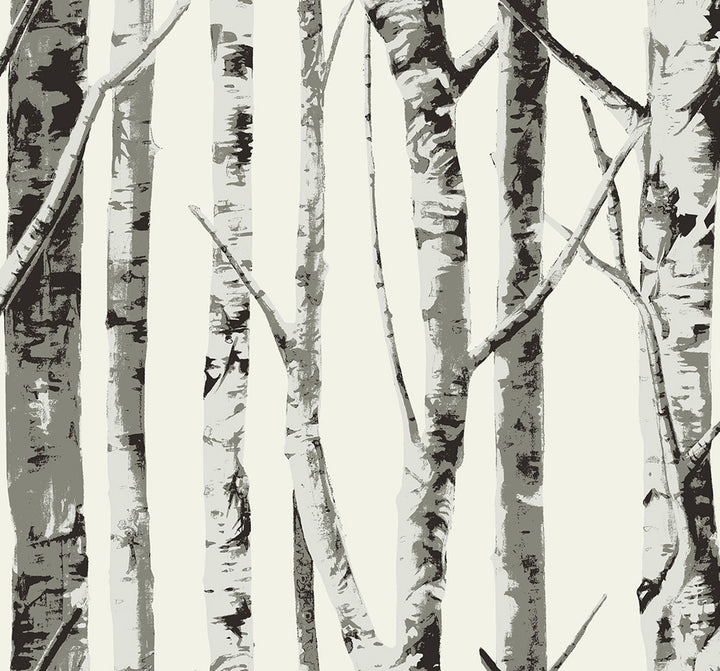 Winter Birch Greystone by Seabrook Wallpaper NextWall Peel & Stick United States 40.5 25.2" 27" - Fabric Carolina -
