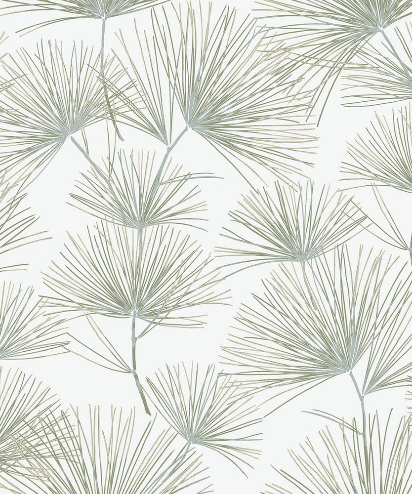 Pine Needles Aloe Green by Seabrook Wallpaper NextWall Peel & Stick Netherlands 31.35 25.2" 20.9" - Fabric Carolina -