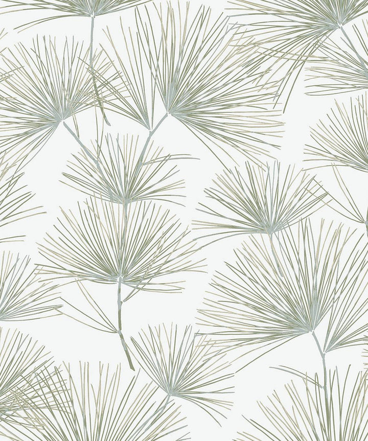 Pine Needles Aloe Green by Seabrook Wallpaper NextWall Peel & Stick Netherlands 31.35 25.2" 20.9" - Fabric Carolina -
