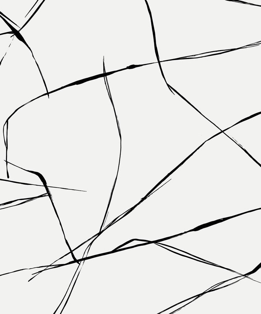 Inkwork Abstract Ebony & Eggshell by Seabrook Wallpaper NextWall Peel & Stick Netherlands 31.35 25.2" 20.9" - Fabric Carolina -