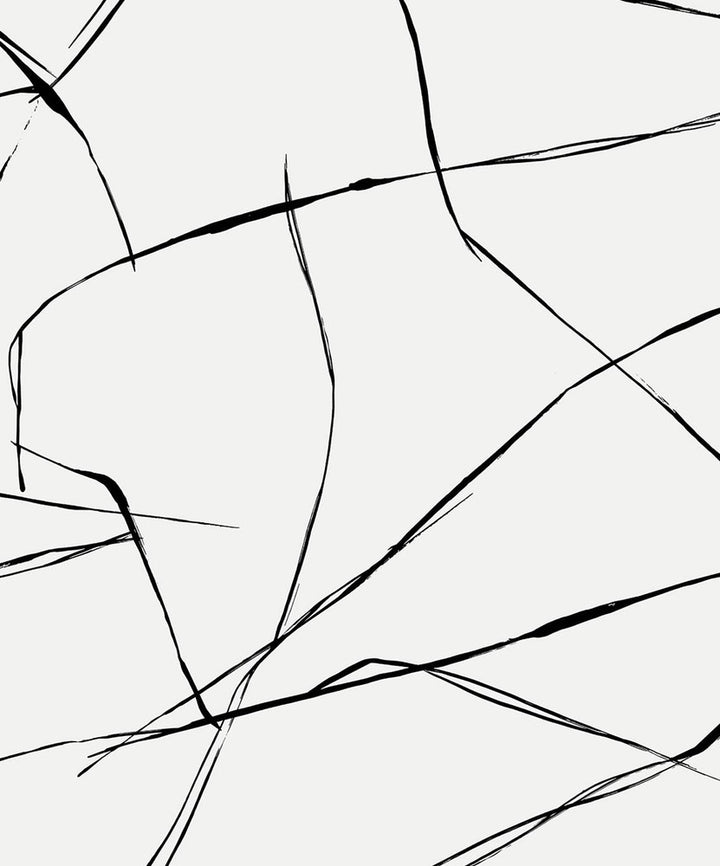 Inkwork Abstract Ebony & Eggshell by Seabrook Wallpaper NextWall Peel & Stick Netherlands 31.35 25.2" 20.9" - Fabric Carolina -