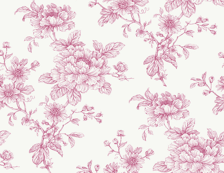 Sketched Floral Pink by Seabrook Wallpaper NextWall Peel & Stick United States 40.5 20.87" 27" - Fabric Carolina -