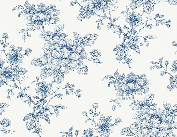 Sketched Floral Blue by Seabrook Wallpaper NextWall Peel & Stick United States 40.5 20.87" 27" - Fabric Carolina -