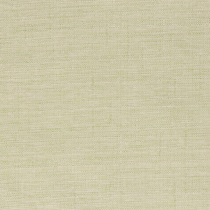 NYE Meadow by Bella-Dura Fabric  100% HIGH UV POLYESTER USA 70000  54"  - Fabric Carolina -