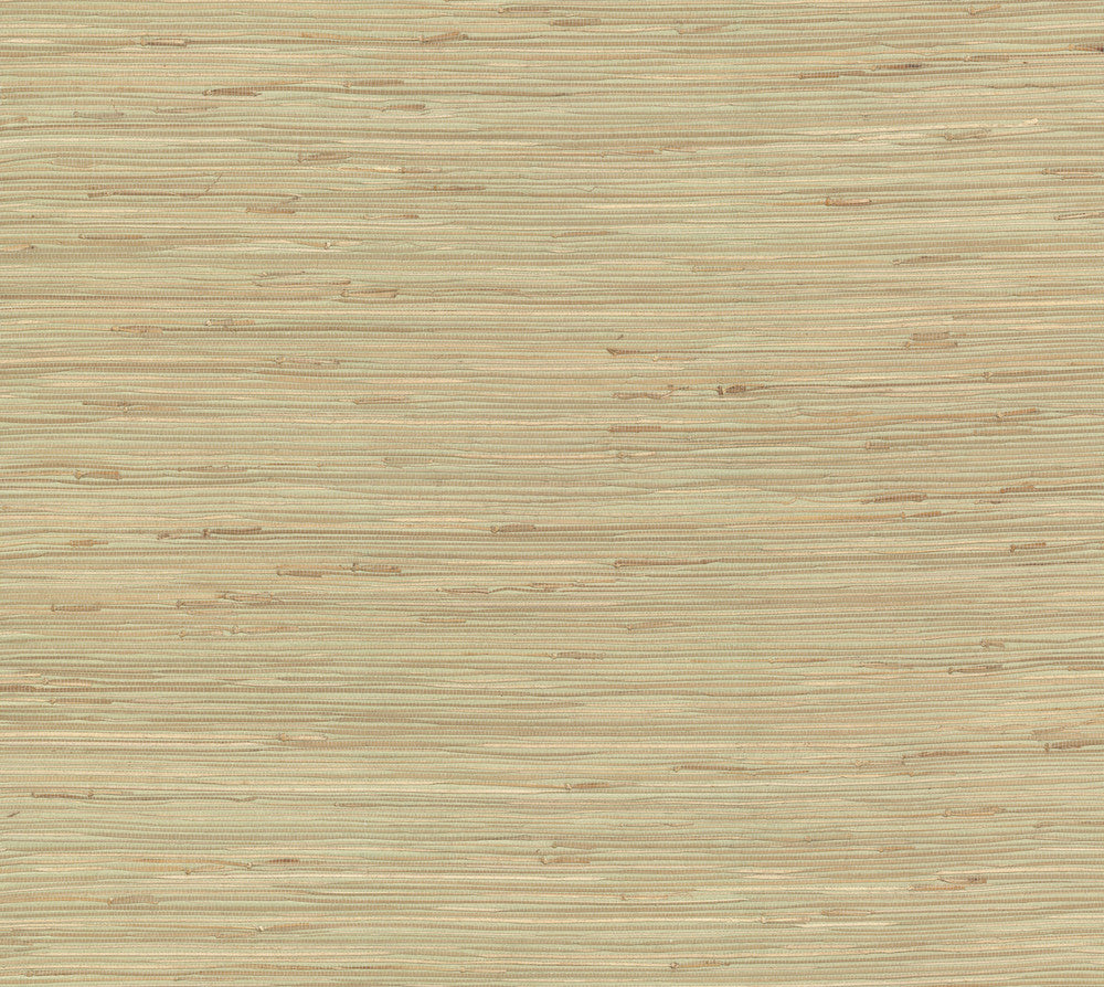 River Grass Green Wallpaper by York Wallcoverings Grasscloth II Covers about 72 square feet 36-in by 24-ft long roll Unpasted 0 - Fabric Carolina -