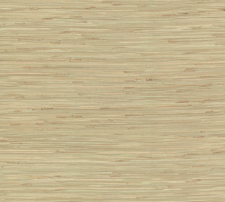 River Grass Green Wallpaper by York Wallcoverings Grasscloth II Covers about 72 square feet 36-in by 24-ft long roll Unpasted 0 - Fabric Carolina -