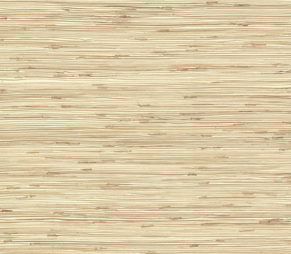 River Grass Beige Wallpaper by York Wallcoverings Grasscloth II Covers about 72 square feet 36-in by 24-ft long roll Unpasted 0 - Fabric Carolina -